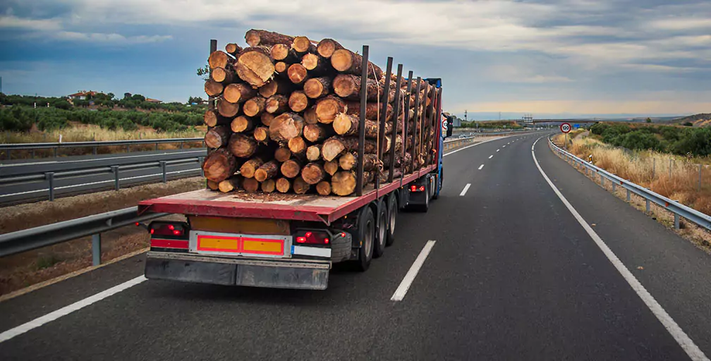 Image of a logging truck on a highway.